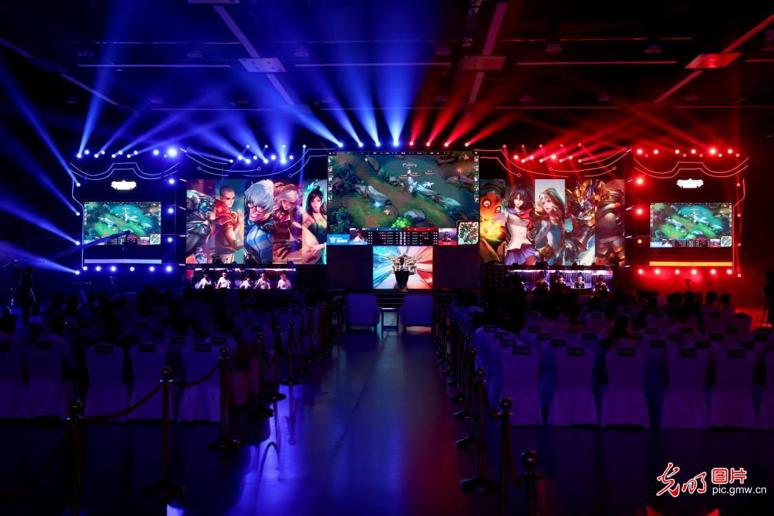 费的存在 费的存在