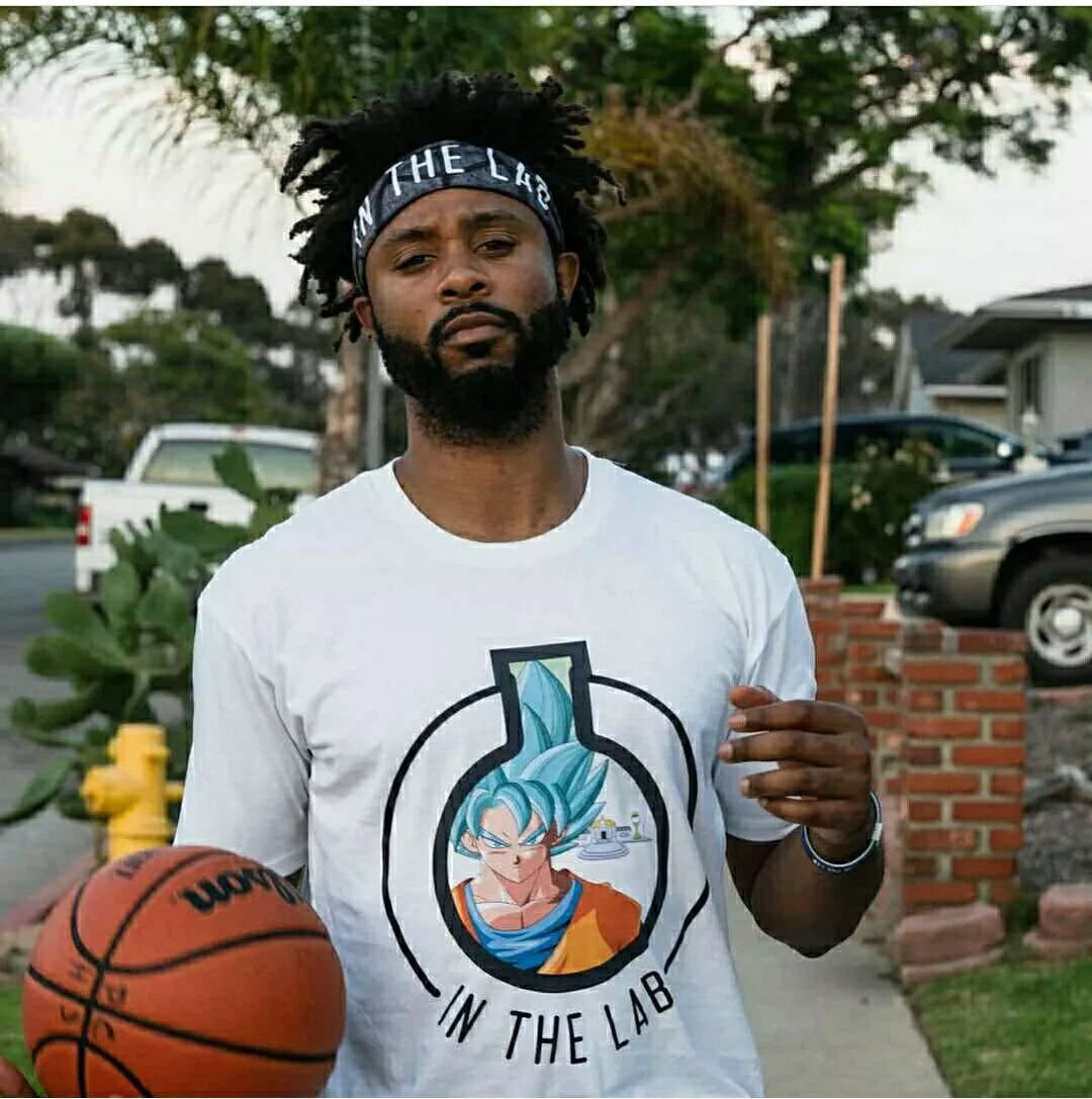 的经历提供 的经历提供